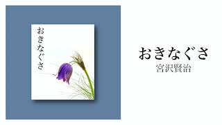 【朗読】おきなぐさ ｜宮沢賢治｜ナレーター：川島昭恵