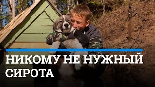 Как сирота из Катунино снова оказался никому не нужным| 29.ru