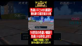 孵化数1万超え男に16匹目の色違いニャオハ爆誕！！【ポケモンSV】【#shorts】