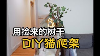 DIY cat tree with real wood! [ENG Sub]