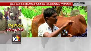 నలిగిపోతున్న గుత్తికోయలు..| T-Govt Oppression on Gotti Koya Tribals | #Story-2 | Warangal | 10TV