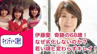 西野カナ、6年ぶり紅白出場決定　活動再開後初のTVパフォーマンス「精一杯歌わせていただきたいと思います」