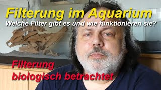 Filterung im Aquarium. Verschiedene Arten der Filterung im biologischen Vergleich.