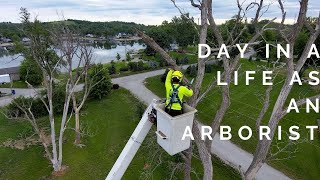 Day in a LIFE at American Arborist