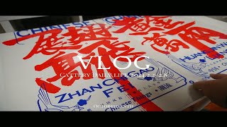 猫舍周记VLOG.24✨新春快乐龙年大吉丨春风得意风生水起丨新的一年大家都要顺顺利利发大财！