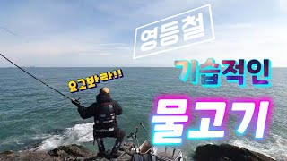 ✨️영등철🐟감성돔🎣낚시 좋은 포인트👍에 비법이 있습니다👌!!!!