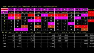 2025年1月11日（土曜）12日（日曜）13日（月曜）中京・中山全レース競馬予想結果公開一覧表