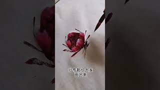 这么简单易学的牡丹画法教你#分享 #推荐