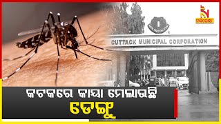 କଟକକୁ ଡେଙ୍ଗୁ ଭୟ , ଗତ ତିନି ଦିନ ମଧ୍ୟରେ ସହରରେ ଚି଼ହ୍ନଟ ହେଲେଣି ଏକାଧିକ ଡେଙ୍ଗୁ ରୋଗୀ | Nandighosha TV