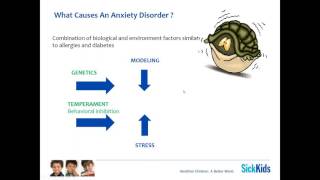 Anxiety Disorders 101