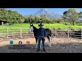 Lotes de Rancho Montegrande para la 9na Subasta Criadores de Occidente a realizarse el 24 de agosto