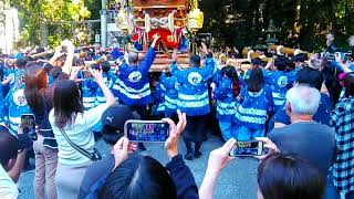 枚岡神社秋祭り20241012ー担ぎ手さんショートスナップ編（出雲井）＠autumn fes.