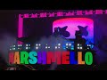 MARSHMELLO LIVE 2019!!!