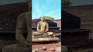 Watadage ❤️🇱🇰🥰☸️#travel #beauty #srilanka #polonnaruwa #watadage #buddha #ancient #history #fpy