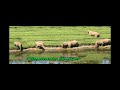 megamalai hidden paradise travel hd video 7 5 2011