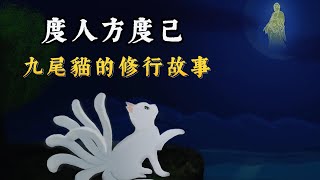 你知道九尾貓的修行故事嗎，本欲度眾生，反被眾生度The Story of the Nine-tailed Cat#修行 #周文强 #勵志 #人生智慧 #因果 #人生感悟 #故事 #九尾貓 #漲知識