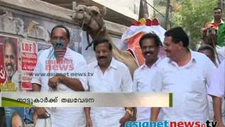 Kerala Election 2014: Road show with camel അവശനിലയിലായ മ്യഗങ്ങളെ ഉപയോഗിച്ച് റോഡ്ഷോ