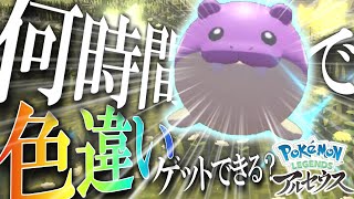 【ゆっくり実況？】色違いは「ひかるおまもり」が無かったら・・・？【ポケモンレジェンズアルセウス】