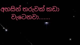 අහසින් තරුවක් කඩා වැටෙනවා.......ගායනය : මාලනී බුලත්සිංහල...