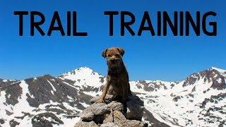Training Your Dog For The Trail: Commands They Should Know for Hiking, Backpacking, and Thru-Hiking