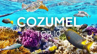 Top 10 Things to do in Cozumel Mexico