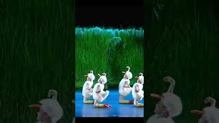 හැමෝම හොයන පුංචි ලමුන්ගේ තරා නැටුම | Little Duck Children's dance #china #duckdance #srilanka #viral