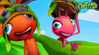 Ant Run 🔴NEW EPISODE!!!🔴 | Funny Cartoons For All The Family! | ANTIKS 🐜🌿