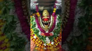 #trending #youtubeshorts  | ma vindhyawasini.... Vindhyachal Mandir me hola Mai Darshan