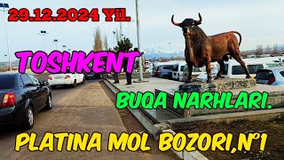 Toshkent vil, Boʻstonliq tumani, Platina Chorva Mol Bozor,Buqa Narhlari.