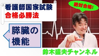 膵臓の機能【看護師国家試験合格必勝法】国家試験過去問題解説付き