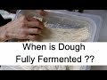 When is Dough Fully Fermented? Is Bulk Proof Over? -San Francisco Sourdough