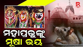 ମହାପ୍ରଭୁଙ୍କୁ ମୂଷା ଭୟ, ଶ୍ରୀମନ୍ଦିରରେ ଲାଗିବ ଏହି ଯନ୍ତ୍ର, କିନ୍ତୁ ହୋଇପାରେ ନିଦ୍ରାରେ ବ୍ୟାଘାତ