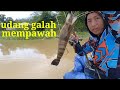 Udang galah mempawah #Mancing udang galah di mempawah. Prawn fishing #shirmp fishing