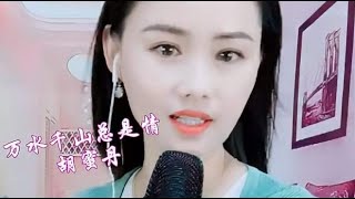 一首粤语《万水千山总是情》经典百听不厌！