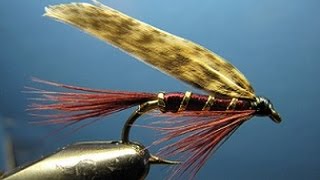 Dark Montreal (mouche noyée - wet fly)