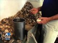 C-SPAN Cities Tour - Annapolis:  History of the Annapolis Oyster Industry