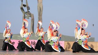 真鶴ぼんぼんざめ 📍伊東絆祭り (なぎさ公園) 2024-03-16T15:54