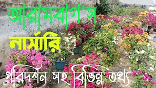 Arambagh's Nursery / আরামবাগ নার্সারি  ।  December 4, 2023