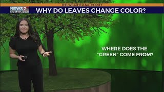 Weather Authority University: Fall colors forming