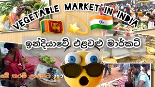 🇮🇳ඉන්දියාවේ එළවළු මෙච්චර ලාබයි ද? 😱👀🐮| A day in Indian vegetable market 🥦🍆🥴#itiwaribazar #khairagarh