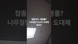 층간소음...휴대폰 녹음으로 이 정도 소리면 실제로 들으면 겁나큽니다 귀찢어질거같아요