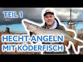 HECHT-ANGELN IN HOLLAND MIT KÖDERFISCH | 🎣 |🐟 TEIL 1