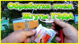 Обработка от клеща осенью! Жгуты ТЭДА! Обработка в сентябре!