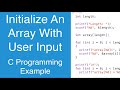Initialize An Array With User Input | C Programming Example