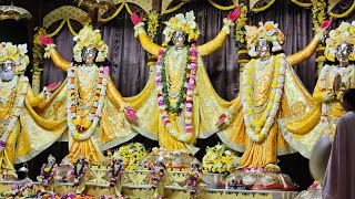 Vasanta Panchami Morning Darshan at ISKCON Mayapur - February 3rd, 2025