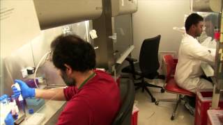 Bioelectronic Medicine