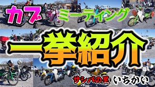 【スーパーカブ】これぞカブの魅力！スーパーカブミーティングで見つけた超クールなカブたち！かっこいい＆個性派カブ大集合　圧巻のカスタムカブ特集　かっこいい＆個性豊かなカブを一挙公開　#趣味の境地