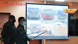 100 tonnes of coconuts seized at Kelantan border