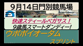 【競馬予想】重賞・ウポポイオータムスプリント　スティールペガサス勝機到来！？～２０２３年９月１４日 門別競馬場 ：９－２２