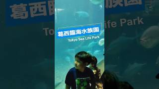 【葛西臨海水族園】🐟【Tokyo Sea Life Park】#まぐろ#aquarium#tuna